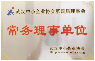 武汉中小企业协会第四届理事会常务理事单位