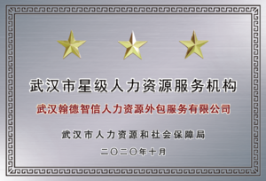 荣誉-2020武汉市星级人力资源服务机构银牌